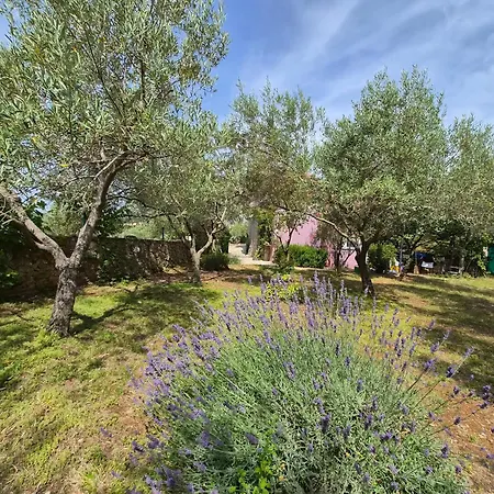 Oasis House