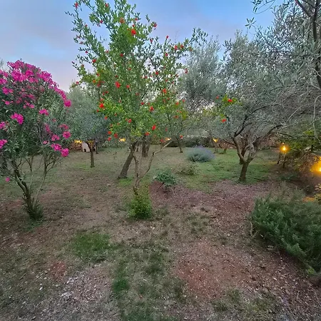 Oasis House Корнич